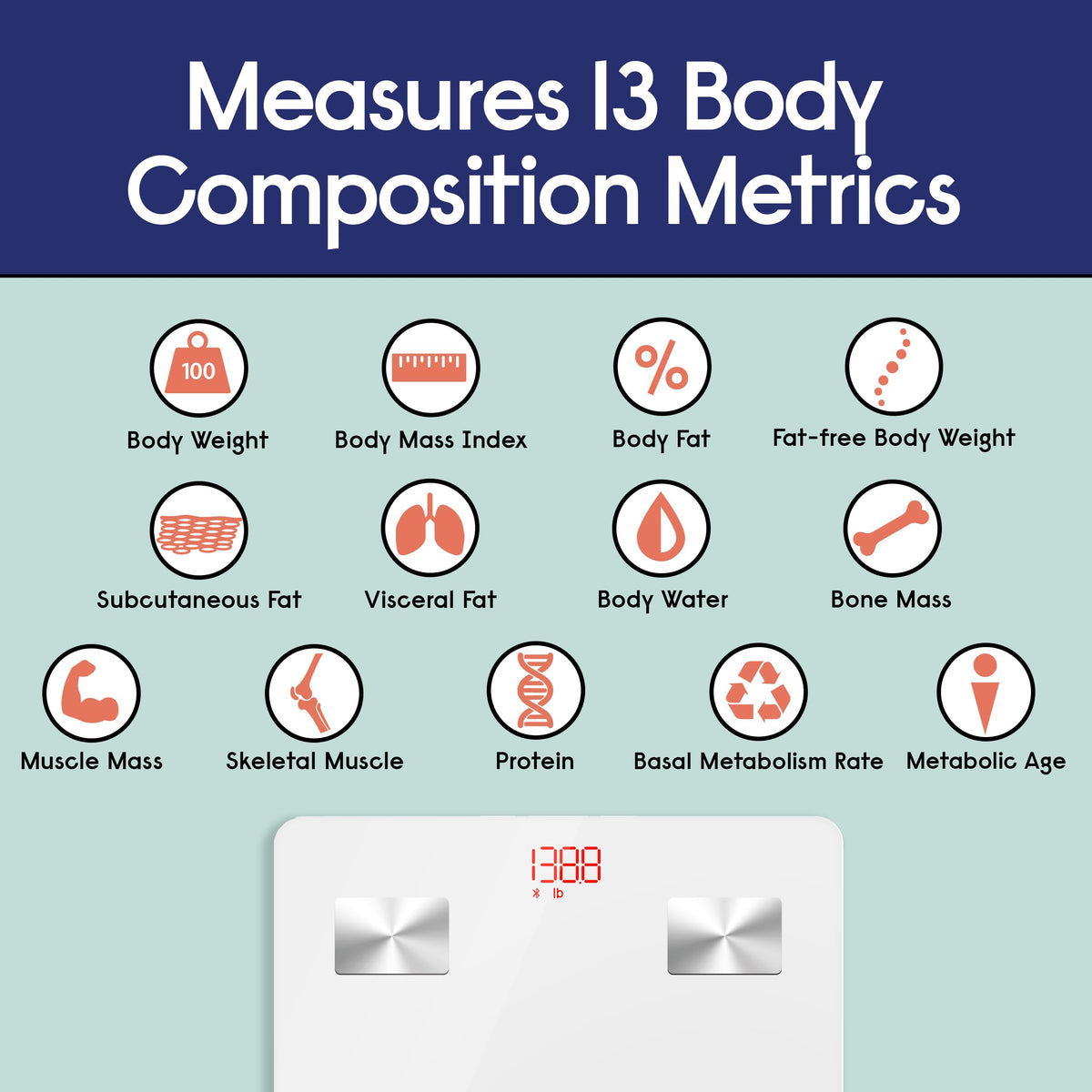 Bluetooth BMI Scale