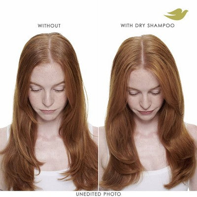Dove Beauty Refresh + Care Volume & Fullness Dry Shampoo 7.3oz - Imperfect Container