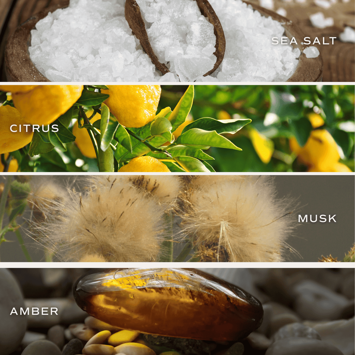 Salt and Sea Clear Reed Diffuser