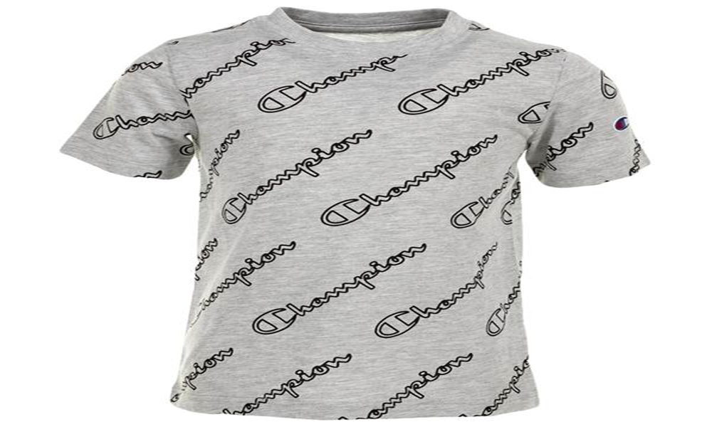 Champion Little Boy's Allover Open Script T-Shirt Gray Size 4