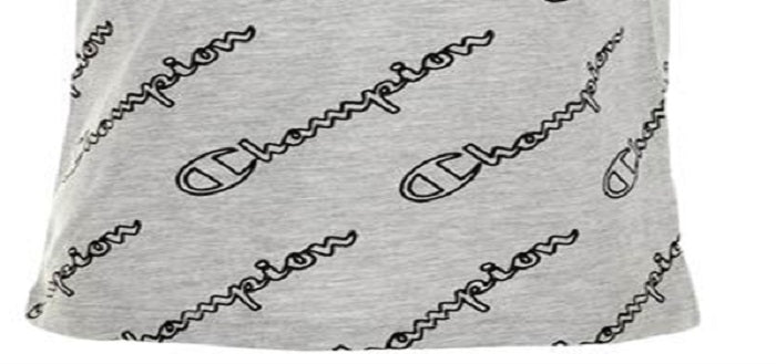 Champion Little Boy's Allover Open Script T-Shirt Gray Size 4
